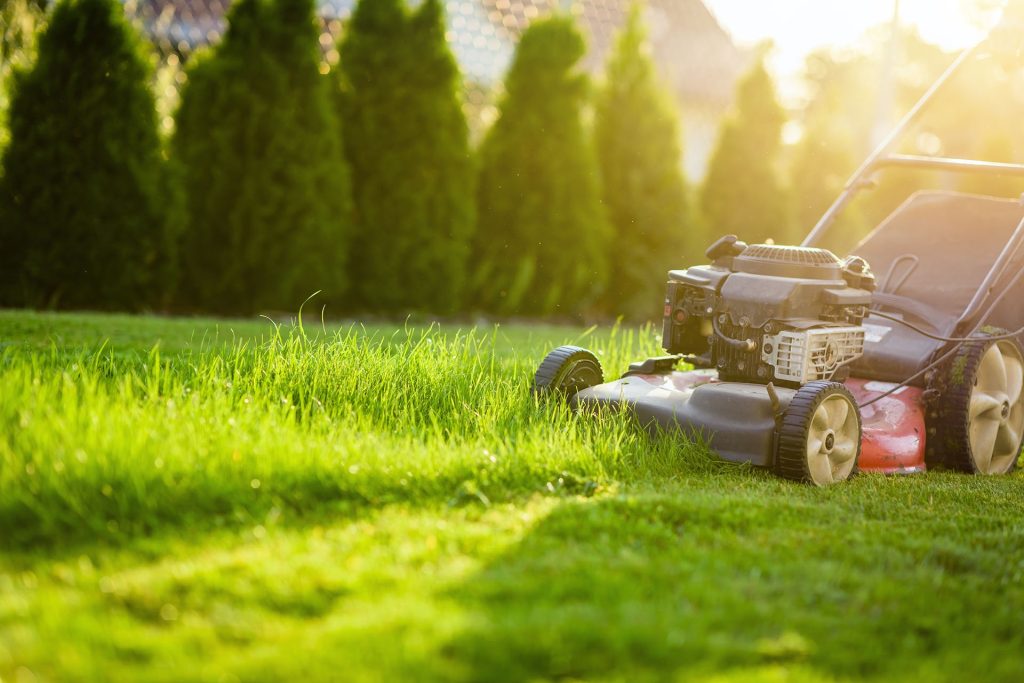 Gardenservice